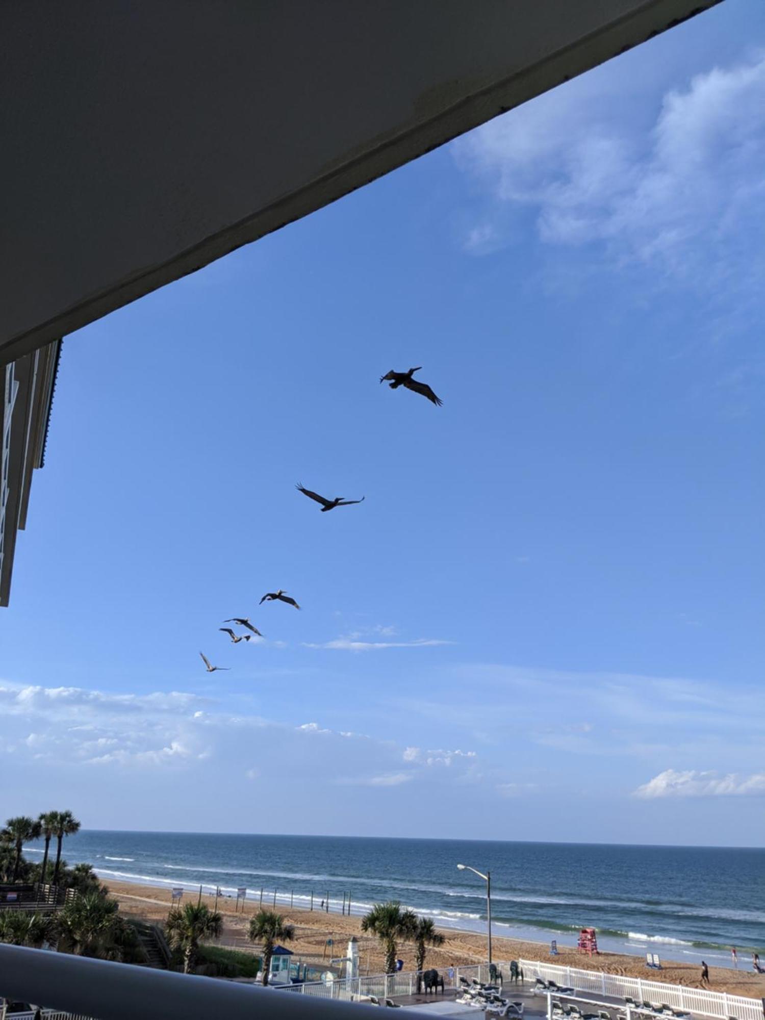 Royal Floridian Resort By Spinnaker Ormond Beach Exterior photo